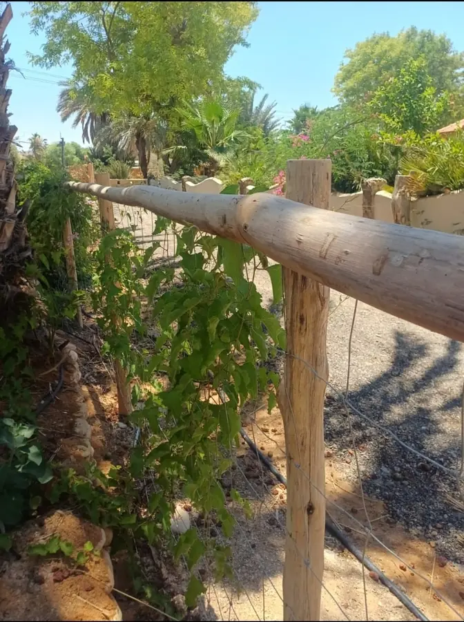 גדר אופקית עם רשת — סנדה SENADA