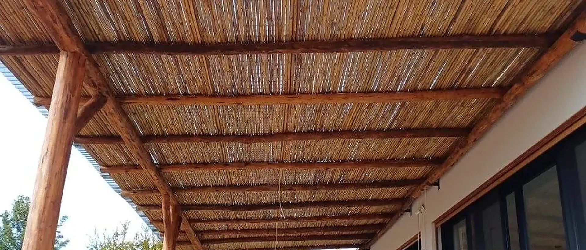 פרגולה עם סכך ירוק — סנדה SENADA
