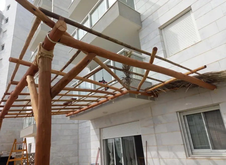 מבנה הקורות — סנדה SENADA